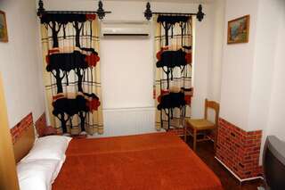 Отели типа «постель и завтрак» Pensiunea Bianco Nero Тимишоара Двухместный номер с 1 кроватью-32