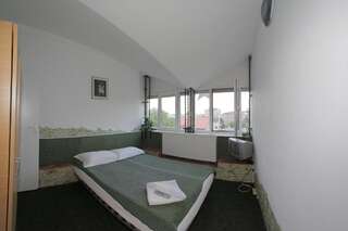 Отели типа «постель и завтрак» Pensiunea Bianco Nero Тимишоара Двухместный номер с 1 кроватью-44
