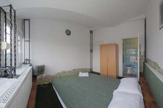 Отели типа «постель и завтрак» Pensiunea Bianco Nero Тимишоара Двухместный номер с 1 кроватью-45